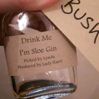 Help with shot bottles - 1