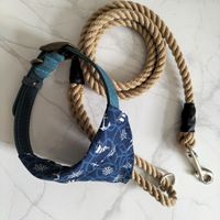 Wedding Dog 🐶 - 1