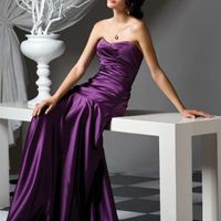 Re: Bridesmaid doesnt like the dress - am i mean?