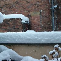 Re: Forget wedding dress envy.. I have SNOW envy!!