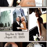 Re: Birdcage veil with my dress *flash*