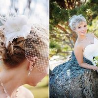 Birdcage veil with my dress *flash* 