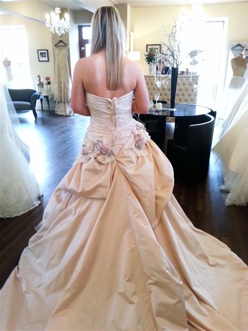 Planning so far! *Flash*