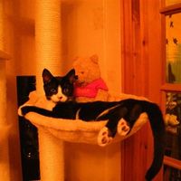 Re: Are you on hitched again...