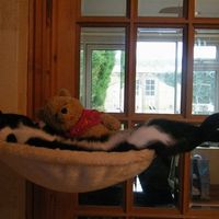 Re: Are you on hitched again...