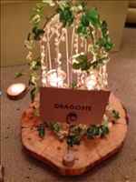 Rustic/Vintage themed wedding items for sale. Birdcages, Tree Slices, Jewellery set, Weddings signs 