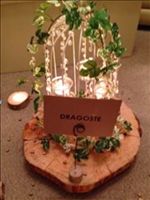 Rustic/Vintage themed wedding items for sale. Birdcages, Tree Slices, Jewellery set, Weddings signs 