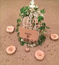 Rustic/Vintage themed wedding items for sale. Birdcages, Tree Slices, Jewellery set, Weddings signs 
