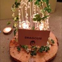 Rustic/Vintage themed wedding items for sale. Birdcages, Tree Slices, Jewellery set, Weddings signs 