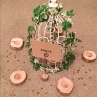 Rustic/Vintage themed wedding items for sale. Birdcages, Tree Slices, Jewellery set, Weddings signs 