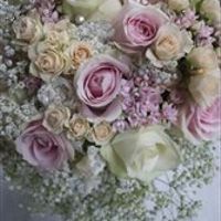 Re: 6 months to go *flash* and Disney planning thread!