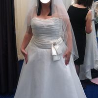 Re: Dress trial flashys please!