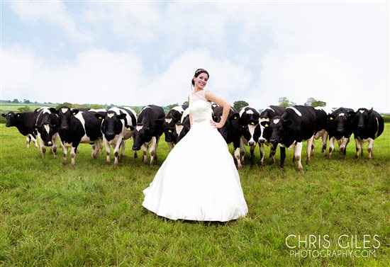 Re: Can anyone recommend a funky photographer?