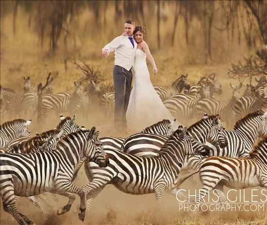 Re: Can anyone recommend a funky photographer?