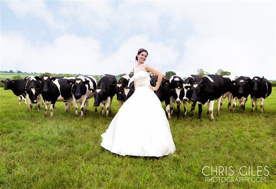 Re: Can anyone recommend a funky photographer?