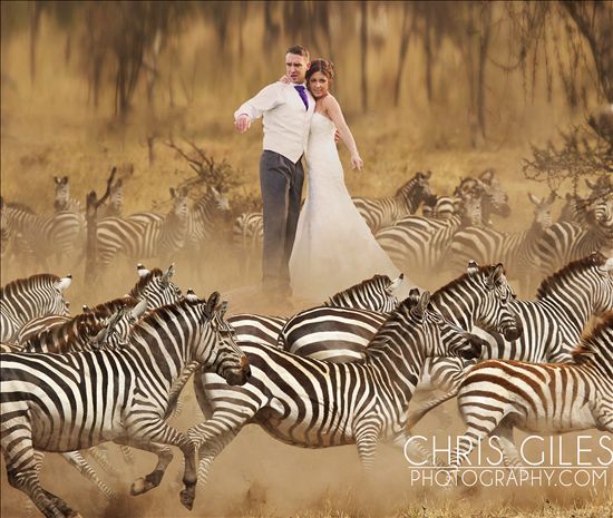 Re: Can anyone recommend a funky photographer?