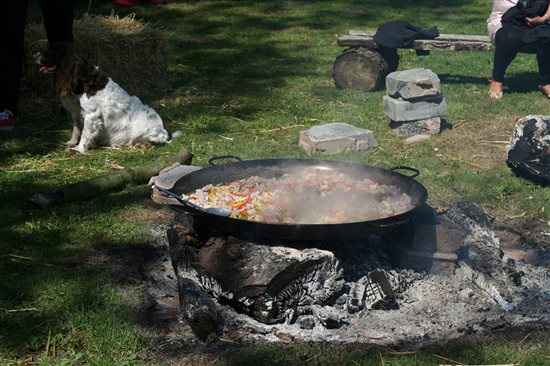 Re: Outdoor food ideas - help!