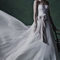 Re: Show off your Gown!