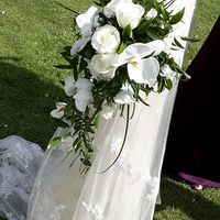 Re: orchid bouquet pics please!