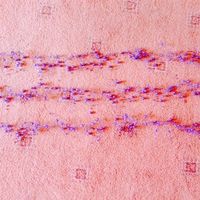 Wedding bits and pieces( mainly heart themed).