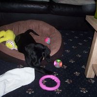 Re: O/T Show me your pets!!