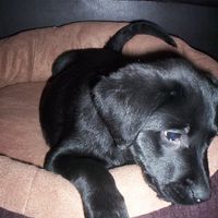 Re: O/T Show me your pets!!