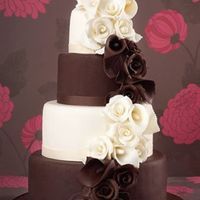 Re: Calling all 2010 brides... a catch up