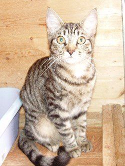 Re: Pics of Hitchers' Pets...