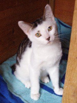 Re: Pics of Hitchers' Pets...