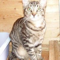 Re: Pics of Hitchers' Pets...