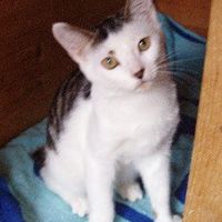 Re: Pics of Hitchers' Pets...