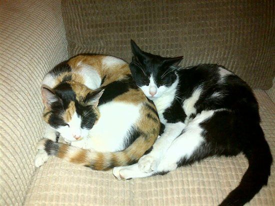 Re: I'm bored....FLASH ME!