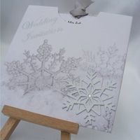 Re: winter wedding 2012 help