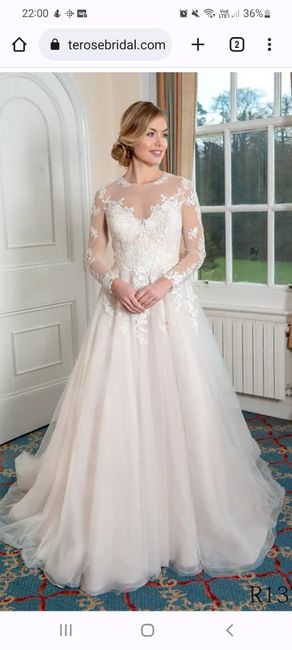 Sleeves/illusion neckline - 1
