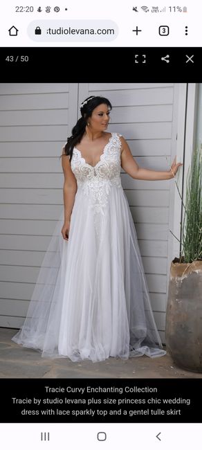 Sleeves/illusion neckline - 2
