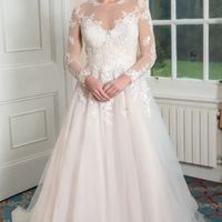Sleeves/illusion neckline - 1