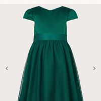 Flower Girl Dress Poll - 2