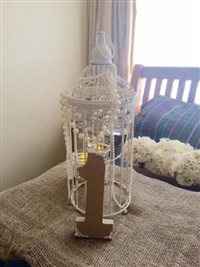 **Self Indulgent 6 Month Flash!!**