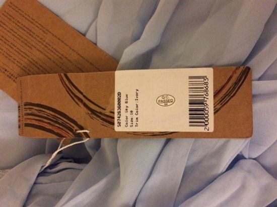 Sky Blue Bridesmaid dress