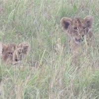 Re: FAO Dion (Honeymoon related)