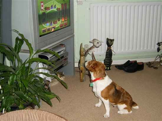 Re: RERe: OT: Just for fun - 25 random facts