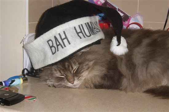 Ollie is wishing you all