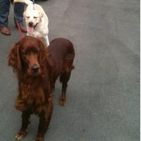 Re: Let's cheer up Twiga