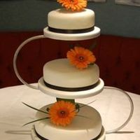 4 weeks 5 days - FLASH! 