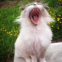 Re: Random happy flashes!