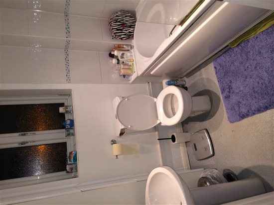 Another house post - flash your bathrooms please...