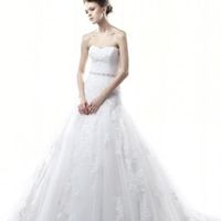 Re: Can we get a post of pics showing everyone's dresses please??