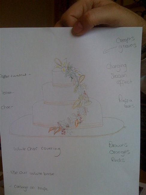 *UPDATED - with flash* - Productive day yesterday - dress and cake sorted!