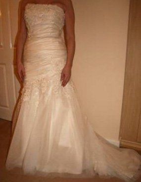 *UPDATED - with flash* - Productive day yesterday - dress and cake sorted!