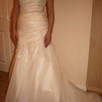 Dress shopping yesterday - stuck between 2 dresses *with flash*